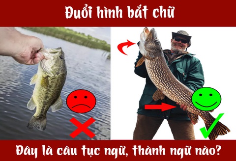IQ cao có đoán được đây là câu tục ngữ, thành ngữ gì? (P44)- Ảnh 3. IQ cao có đoán được đây là câu tục ngữ, thành ngữ gì? (P44)- Ảnh 3.