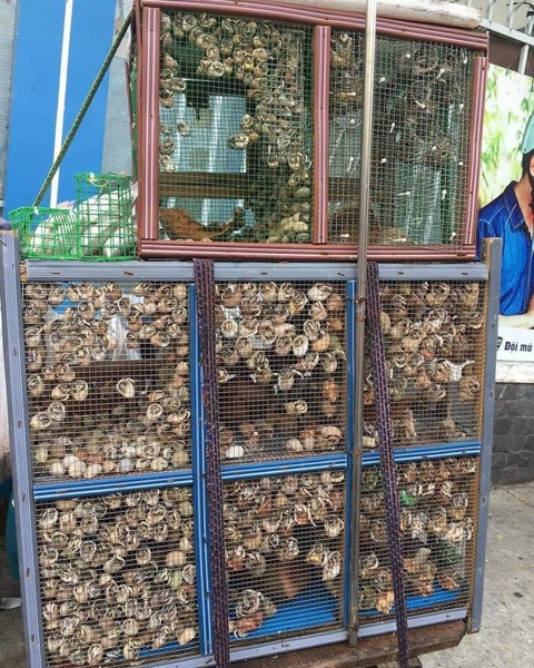 Ảnh vui 26-2: Sạp tạp hóa tuyển nhân viên, lương 7 triệu, bao ăn ở- Ảnh 6. Hình ảnh quen thuộc ngày nào...