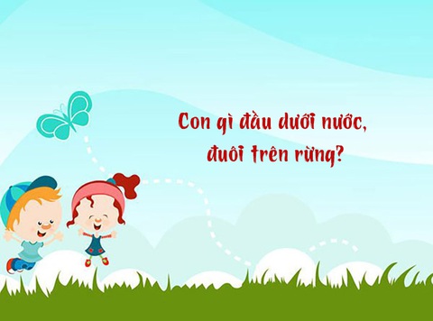 Câu đố hack não: Con gì đầu dưới nước, đuôi trên rừng?- Ảnh 1. Câu đố hack não: Con gì đầu dưới nước, đuôi trên rừng?- Ảnh 1.