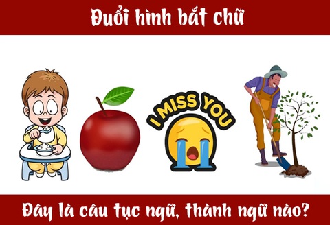 IQ cao có đoán được đây là câu tục ngữ, thành ngữ gì? (P45)- Ảnh 3. IQ cao có đoán được đây là câu tục ngữ, thành ngữ gì? (P45)- Ảnh 3.