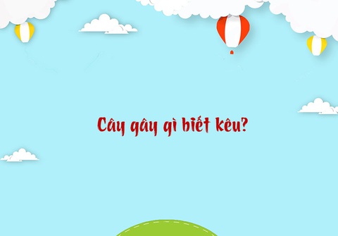Câu đố hack não: Nước gì ăn được mà không uống được?- Ảnh 3. Câu đố hack não: Nước gì ăn được mà không uống được?- Ảnh 3.