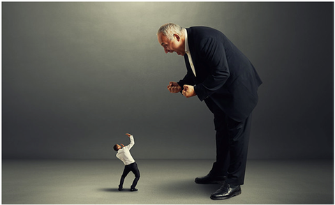 Hãy thất bại một cách thành công- Ảnh 2. Một số người cho rằng lãnh đạo của họ là những cá nhân