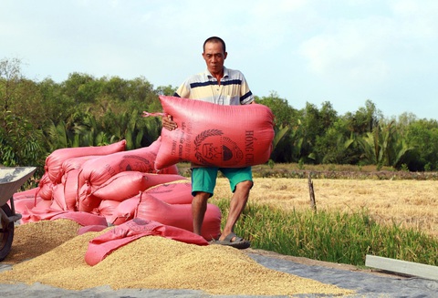Ba đời làm nông dân giữa thành phố- Ảnh 1. Cha bị bệnh, anh Trí đảm đương việc nặng