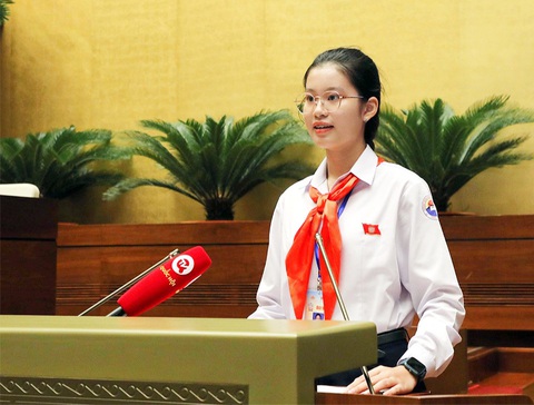 Đặng Cát Tiên trong vai chủ tịch Quốc hội trong phiên họp giả định Đặng Cát Tiên trong vai chủ tịch Quốc hội trong phiên họp giả định