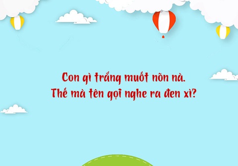 Câu đố hack não: Cái gì càng mất càng thấy lợi?- Ảnh 3. Câu đố hack não: Cái gì càng mất càng thấy lợi?- Ảnh 3.