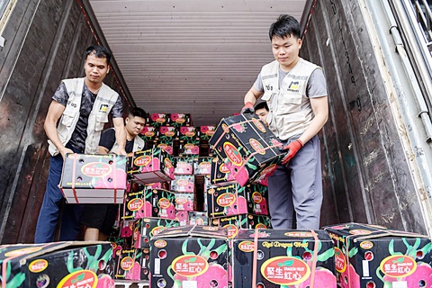 Thêm nhiều giải pháp để xuất khẩu nông sản suôn sẻ hơn- Ảnh 7. Từng thùng thanh long được chủ hàng kiểm tra kỹ lưỡng lần cuối trước khi xuất khẩu sang Trung Quốc - Ảnh: NAM TRẦN