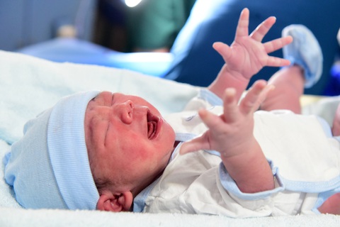 Nháo nhào săn 'rồng vàng', bác sĩ cảnh báo càng sốt ruột càng khó thành- Ảnh 1. Thêm bé “tuổi rồng” chào đời sẽ thêm niềm vui cho gia đình - Ảnh: DUYÊN PHAN