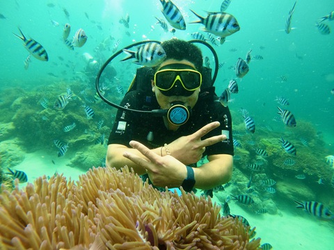 Nhiều giải pháp bảo vệ, san hô vịnh Nha Trang bắt đầu phục hồi- Ảnh 1. Du khách khi lặn biển không nên sờ, ngồi lên san hô - Ảnh: THANH CHƯƠNG