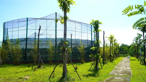 Xây chuồng cho sếu đầu đỏ sinh sản và bảo tồn- Ảnh 1. Cận cảnh một chuồng nuôi nhốt sếu đã hoàn thiện - Ảnh: ĐẶNG TUYẾT