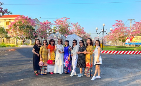 Ngẩn ngơ với con đường 282 cây hoa kèn hồng ở Sóc Trăng- Ảnh 5. Nhiều người về con đường hoa kèn hồng để chụp hình