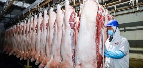 Giá thịt heo giảm, ít người mua khiến những nhà nuôi và cung cấp thịt khó khăn - Ảnh: AFP Giá thịt heo giảm, ít người mua khiến những nhà chăn nuôi và cung cấp thịt khó khăn - Ảnh: AFP