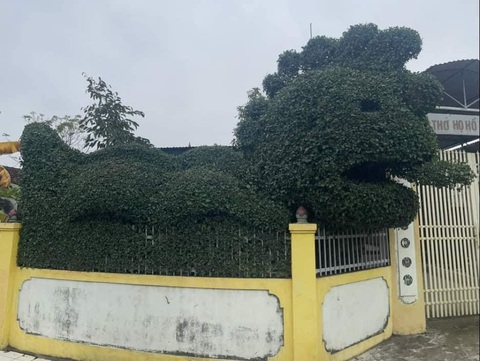Ảnh vui 3-2: 'Bé Rồng' ở Nghệ An xin chào bà con cả nước- Ảnh 1. Hình như