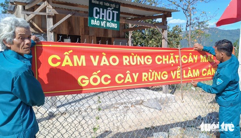 Ngành nông nghiệp tăng cường lực lượng tại các chốt bảo vệ rừng để kịp thời ngăn chặn người dân chặt mai về bán hoặc làm Cán bộ ngành nông nghiệp Ninh Thuận tăng cường trực chốt bảo vệ rừng để kịp thời ngăn chặn người dân vào rừng chặt mai về bán hoặc chưng Tết - Ảnh: DUY NGỌC