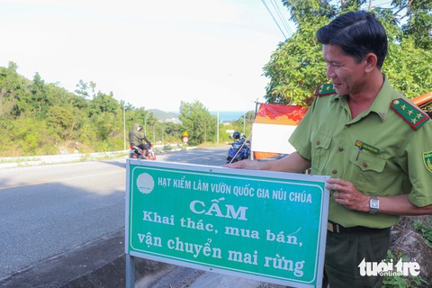 Quyết ngăn nạn chặt mai rừng về chưng Tết- Ảnh 2. Ông Trần Thanh Tùng - trạm trưởng Trạm kiểm lâm Bình Tiên - trong ca trực - Ảnh: DUY NGỌC