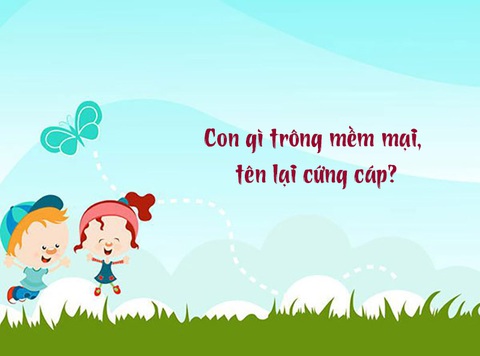 Câu đố hack não: Con gì trông mềm mại, tên lại cứng cáp?- Ảnh 1. Câu đố hack não: Con gì trông mềm mại, tên lại cứng cáp?- Ảnh 1.