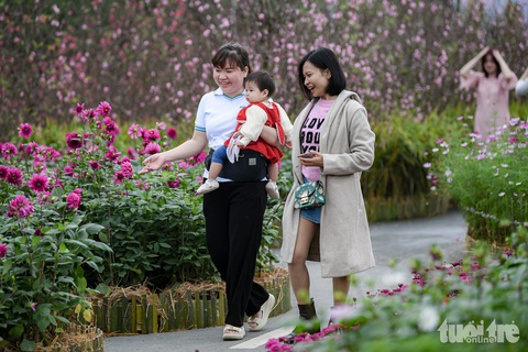 Nô nức check-in tại con đường hoa xuân lớn nhất phía tây thủ đô Home Hanoi Xuan 2024- Ảnh 9. Đường hoa Home Hanoi Xuan 2024 thu hút nhiều gia đình đến khám phá - Ảnh: NAM TRẦN