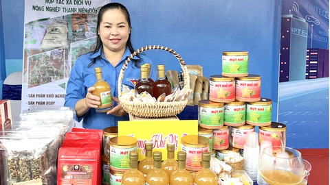 Mứt khế chua của cô giáo Cần Thơ- Ảnh 1. Từ trái khế chua, cô giáo Cẩm Nhung đã làm ra mứt khế và nước khế lên men - Ảnh: LAN NGỌC