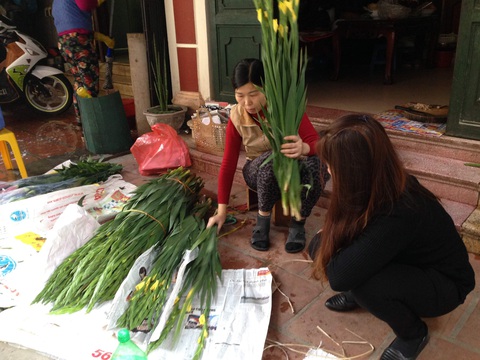 Thưởng thức Tết đậm vị như người dân Hà thành- Ảnh 9. Hoa lay ơn được bày bán trước cửa nhà