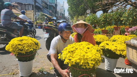 Giá hoa Tết giảm nhưng sức mua cũng... giảm theo- Ảnh 1. Cặp chậu cúc mâm xôi có giá 350.000 đồng được người khách mua cho chị Phan Thị Kim Định - Ảnh: BỬU ĐẤU