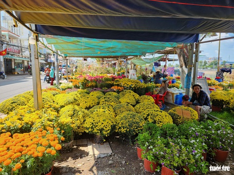 Giá hoa Tết giảm nhưng sức mua cũng... giảm theo- Ảnh 2. Nhiều tiểu thương bán hoa Tết ở miền Tây cho biết sức mua giảm mạnh, dù họ đã giảm giá các loại hoa - Ảnh: BỬU ĐẤU