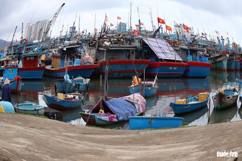 Săn 'lộc trời' dưới đáy tàu biển những ngày gần Tết- Ảnh 4. Âu thuyền Thọ Quang - Ảnh: LÊ TRUNG
