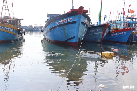 Săn 'lộc trời' dưới đáy tàu biển những ngày gần Tết- Ảnh 10. Ngụp lặn dưới nước - Ảnh: LÊ TRUNG
