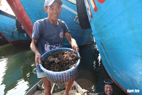 Săn 'lộc trời' dưới đáy tàu biển những ngày gần Tết- Ảnh 11. Ông Hòa và ông Định mừng khi trúng tàu có nhiều vẹm bám - Ảnh: LÊ TRUNG