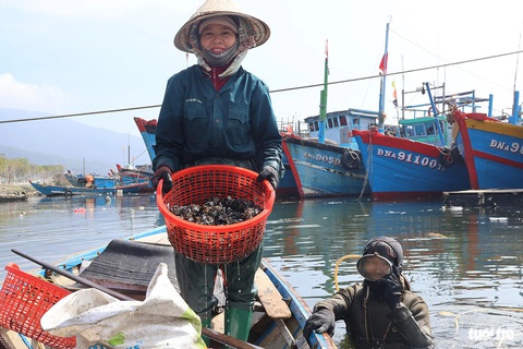 Săn 'lộc trời' dưới đáy tàu biển những ngày gần Tết- Ảnh 12. Hai vợ chồng ông Quyết mưu sinh bằng nghề săn vẹm - Ảnh: LÊ TRUNG