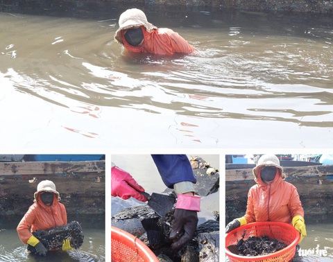 Săn 'lộc trời' dưới đáy tàu biển những ngày gần Tết- Ảnh 15. Phụ nữ mưu sinh bằng nghề bắt vẹm - Ảnh: LÊ TRUNG