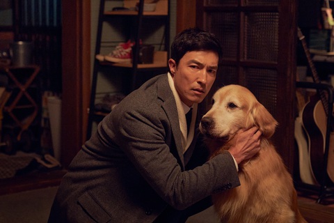 'Sen boss sum vầy' quy tụ dàn sao khủng xứ Hàn- Ảnh 5. Tạo hình lãng tử của Daniel Phillip Henney