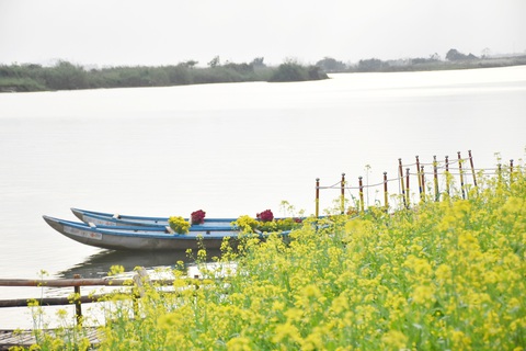 Cực chill với điểm check-in Đi về nơi có gió ở TP Quảng Ngãi- Ảnh 4. Khung cảnh thơ mộng như tranh - Ảnh: TRẦN MAI