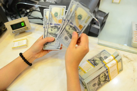 Lý giải giá USD ‘tự do’ tăng cao cận Tết, có lúc vượt 25.000 đồng- Ảnh 1. Tỉ giá được dự báo sẽ ổn định trong năm 2024 - Ảnh: QUANG ĐỊNH