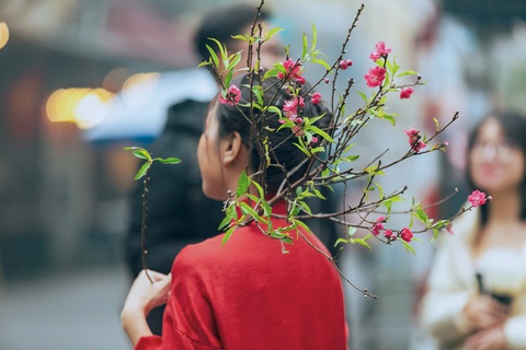 Người dân Hà Nội du Xuân cùng hoa đào - Ảnh: Lee Hyo Seung Người dân Hà Nội du Xuân cùng hoa đào - Ảnh: Lee Hyo Seung