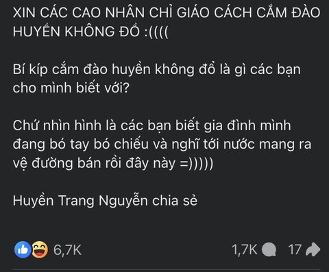 'Kiếp nạn thứ 82' trước Tết Nguyên đán gọi tên đào huyền- Ảnh 2. 'Kiếp nạn thứ 82' trước Tết Nguyên đán gọi tên đào huyền- Ảnh 2.
