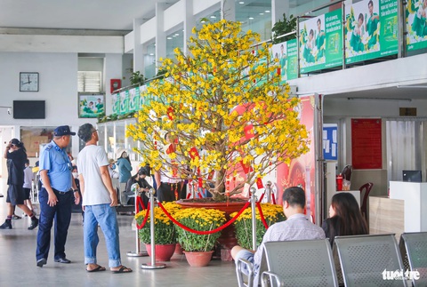 Bến xe Miền Tây nhộn nhịp người về quê đón Tết, dự báo đông nhất trong 4 năm qua- Ảnh 2. Những chậu hoa tại bến xe Miền Tây đã trổ bông rực rỡ đón Tết - Ảnh: CHÂU TUẤN