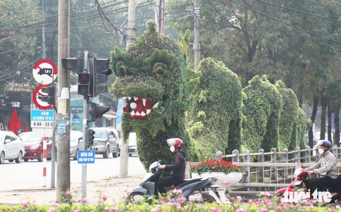 Cây cảnh hình rồng được 'phẫu thuật', dân mạng khen lột xác- Ảnh 1. Cây cảnh hình rồng tại TP Vinh đã được chỉnh sửa sau khi nhận nhiều ý kiến trái chiều từ dư luận - Ảnh: DOÃN HÒA