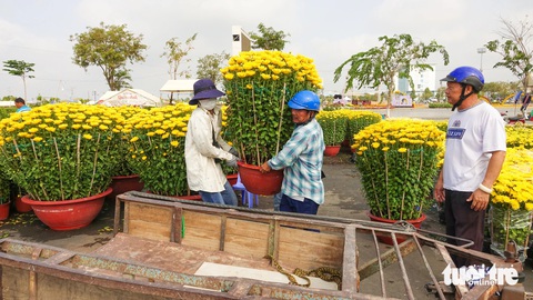 Chở thuê mùa xuân, người lao động nghèo đất biển Kiên Giang có tiền ăn Tết- Ảnh 2. Tùy vào đoạn đường xa gần mà người chở thuê mùa xuân có tiền công 100.000-150.000 đồng/chuyến - Ảnh: CHÍ CÔNG