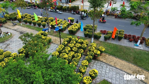 Đường phố Hội An ngập sắc hoa xuân, 27 tháng chạp vẫn vắng người mua, người bán hoa sốt ruột- Ảnh 1. Hoa được bày bán ở tuyến phố Trần Hưng Đạo - Ảnh: LÊ TRUNG