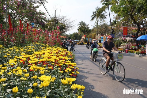 Đường phố Hội An ngập sắc hoa xuân, 27 tháng chạp vẫn vắng người mua, người bán hoa sốt ruột- Ảnh 2. Hoa tràn ngập trên tuyến đường Trần Hưng Đạo - Ảnh: LÊ TRUNG