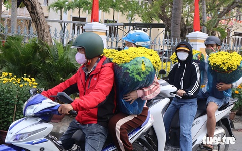 Đường phố Hội An ngập sắc hoa xuân, 27 tháng chạp vẫn vắng người mua, người bán hoa sốt ruột- Ảnh 5. Người dân mua cúc mâm xôi về nhà - Ảnh: LÊ TRUNG