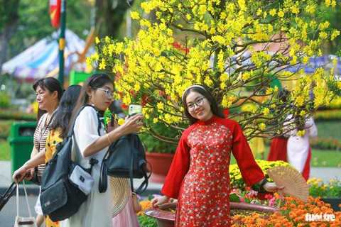 Ngàn người trẩy hội hoa xuân TP.HCM, xúng xính váy áo chụp ảnh- Ảnh 4. Tại Hội hoa xuân năm nay, du khách còn được chiêm ngưỡng các bộ sưu tập mai vàng đặc sắc - Ảnh: CHÂU TUẤN