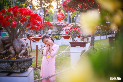 Ngàn người trẩy hội hoa xuân TP.HCM, xúng xính váy áo chụp ảnh- Ảnh 6. Ngoài ra còn có nhiều loài hoa dị thảo rực rỡ được trưng bày để người dân thỏa thích chiêm ngưỡng và lưu lại những bức ảnh đẹp - Ảnh: CHÂU TUẤN