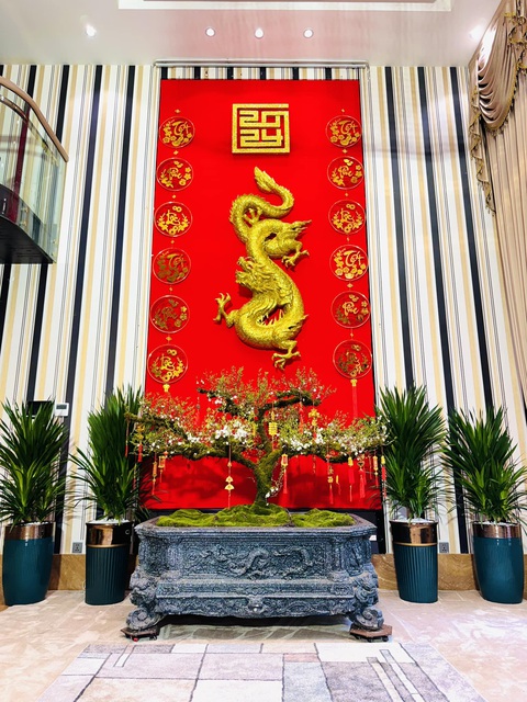 Đàm Vĩnh Hưng chi 'khủng' trang trí Tết cho biệt thự 60 tỉ đồng- Ảnh 6. Cây mai quý hiếm được Đàm Vĩnh Hưng vận chuyển từ Tây Bắc về và đặt ở vị trí trung tâm trong căn nhà.