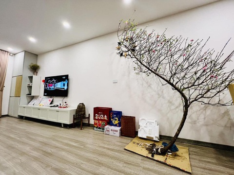 'Kiếp nạn thứ 82' trước Tết Nguyên đán gọi tên đào huyền- Ảnh 1. Cành đào huyền khiến không ít