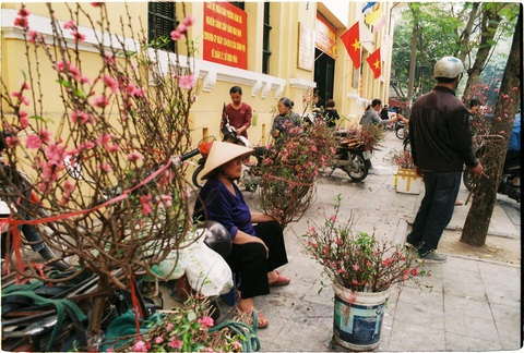 Những điều cuối cùng cho ngày cuối năm- Ảnh 3. Chợ đào - Ảnh: KIM GIANG