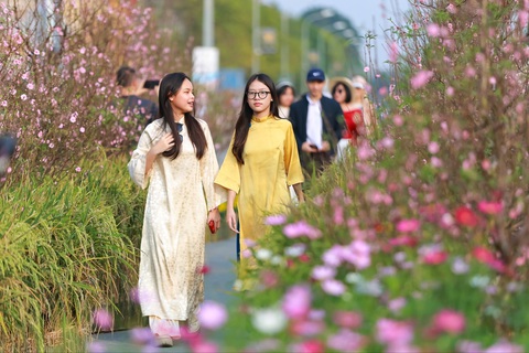 Triệu hương hoa, bùng sắc Tết tại đường hoa Home Hanoi Xuan 2024- Ảnh 1. Triệu hương hoa, bùng sắc Tết tại đường hoa Home Hanoi Xuan 2024- Ảnh 1.