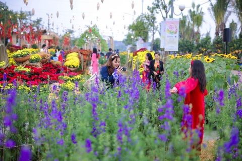 Triệu hương hoa, bùng sắc Tết tại đường hoa Home Hanoi Xuan 2024- Ảnh 5. Triệu hương hoa, bùng sắc Tết tại đường hoa Home Hanoi Xuan 2024- Ảnh 5.