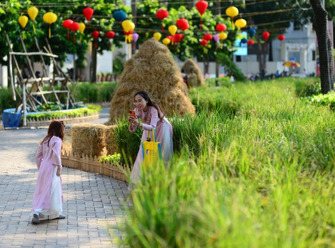 Người dân đi chơi, chụp ảnh lưu niệm ở đường hoa Phú Mỹ Hưng, quận 7, TP.HCM, Tết Giáp Thìn - Ảnh: QUANG ĐỊNH Người dân đi chơi, chụp ảnh lưu niệm ở đường hoa Phú Mỹ Hưng, quận 7, TP.HCM, Tết Giáp Thìn - Ảnh: QUANG ĐỊNH