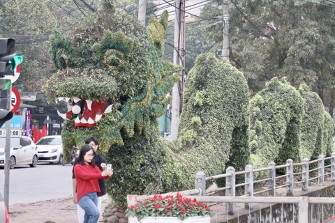 Cây cảnh hình rồng được 'phẫu thuật', dân mạng khen lột xác- Ảnh 3. Nhiều bạn trẻ đã kịp đến check-in với hình ảnh mới của chú rồng - Ảnh: DOÃN HÒA