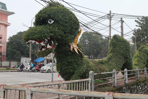 Cây cảnh hình rồng được 'phẫu thuật', dân mạng khen lột xác- Ảnh 4. Chú rồng "gây bão" trước đó - Ảnh: DOÃN HÒA